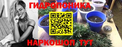 хмурый Мариинск