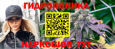 стаф Лесосибирск