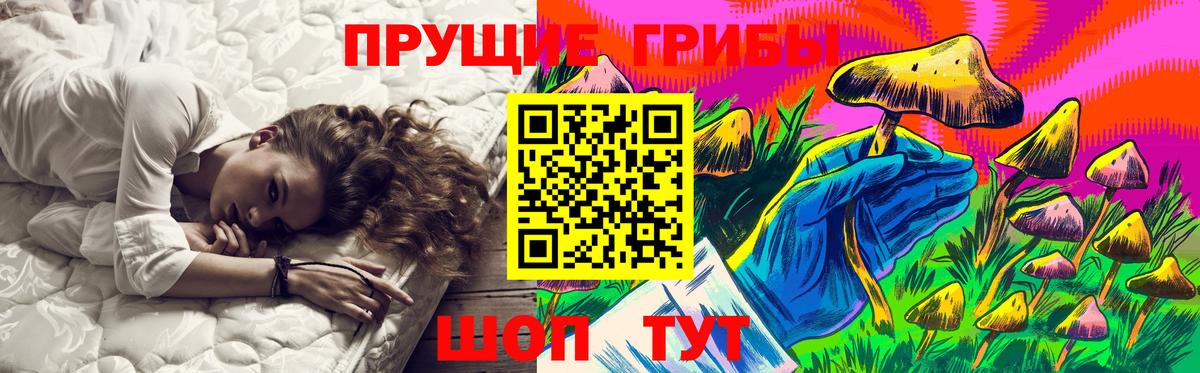 Псилоцибиновые грибы Cubensis  цены наркотик  Дзержинск  Вход с VPN 